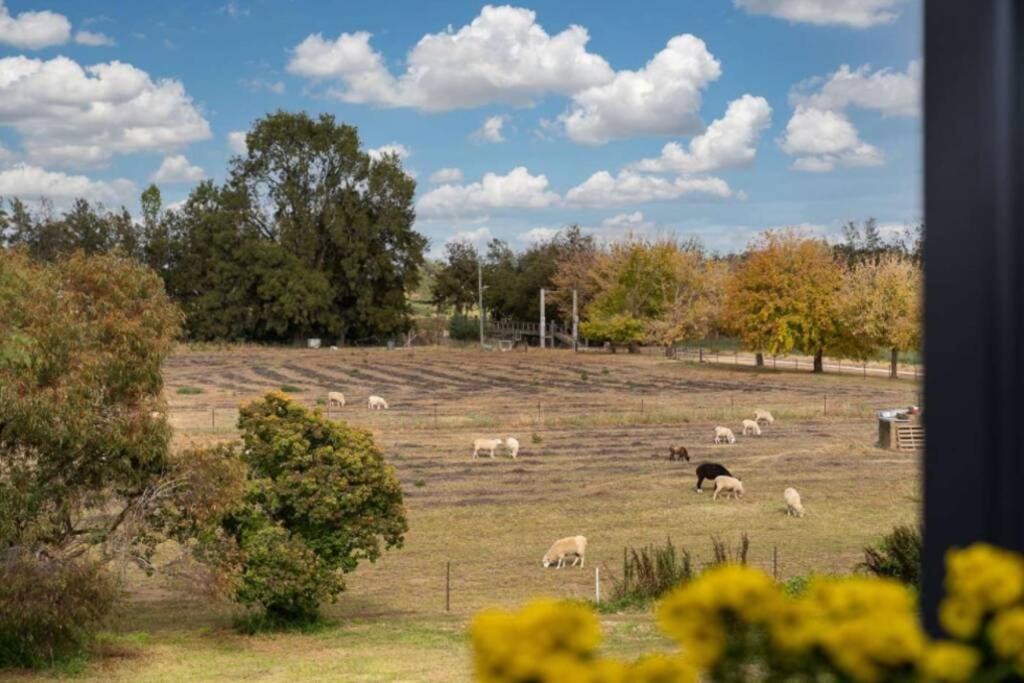 Heart Of Canowindra - Heritage Escape With A View Βίλα Εξωτερικό φωτογραφία